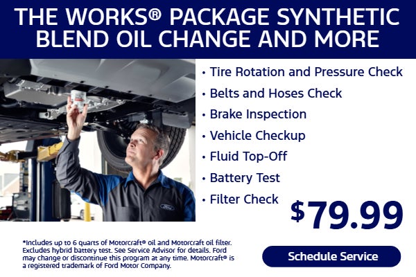 The Works® Package Synthetic Blend Oil Change
